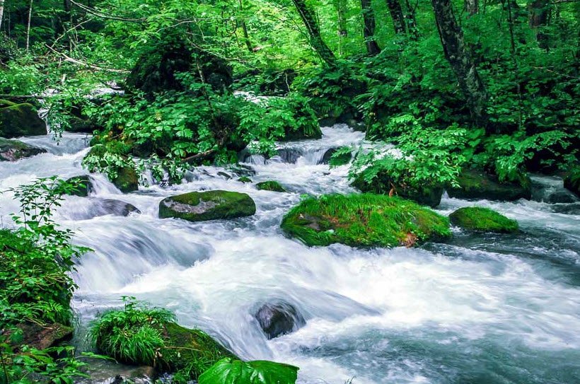 Oirase Gorge